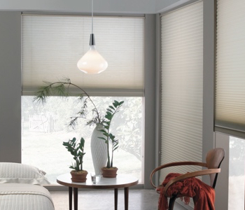 cellular shades in Philadelphia house